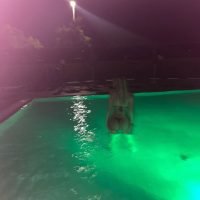 TopFapGirls.net provides exclusive FAP-uncensored OnlyFans Leaked pics for free. | Matilde Vittoria Montalti matildemontalti matildemontaltii TopFapGirls Leaks Pics 0019