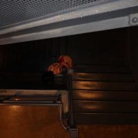 TopFapGirls.net provides exclusive FAP-uncensored OnlyFans Leaked pics for free. | Halloween Baddies Leaks 80