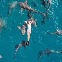 TopFapGirls.net provides exclusive FAP-uncensored OnlyFans Leaked pics for free. | Martina Os maartiina os martina os OnlyFans Leaks Pics 33