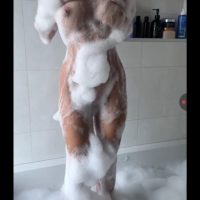 TopFapGirls.net provides exclusive FAP-uncensored OnlyFans Leaked pics for free. | Elsa Bellucci Nude elsabellucci Leak OnlyFans Leaks Pics 51