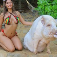 TopFapGirls.net provides exclusive FAP-uncensored OnlyFans Leaked pics for free. | Renee Nicole Nude reneenikkii Leaked OnlyFans Leaks Pics 58