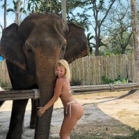Lavettibae Nude lavettibae Leaked OnlyFans Leaks Pics 31 TopFapGirls.net provides exclusive FAP-uncensored OnlyFans Leaked pics for free. | Lavettibae Nude lavettibae Leaked OnlyFans Leaks Pics 49