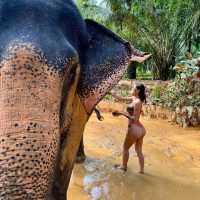 Nicolle Ferreira Nude iamniferreira Leaked iamnicolleferreira Leak onlyFans Leaks Pics #3 33 TopFapGirls.net provides exclusive FAP-uncensored OnlyFans Leaked pics for free. | Nicolle Ferreira Nude iamniferreira Leaked iamnicolleferreira Leak onlyFans Leaks Pics 134